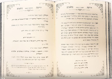 פנים 12889