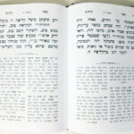 פנים 13313