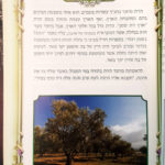 פנים 2193