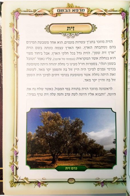 פנים 2193