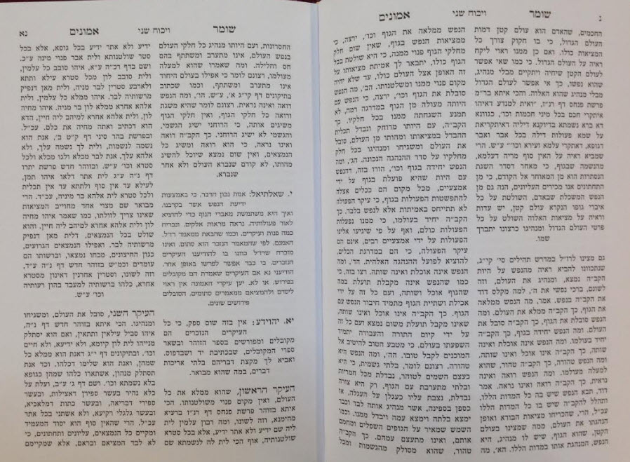 פנים 4581