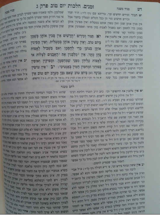 פנים 4779