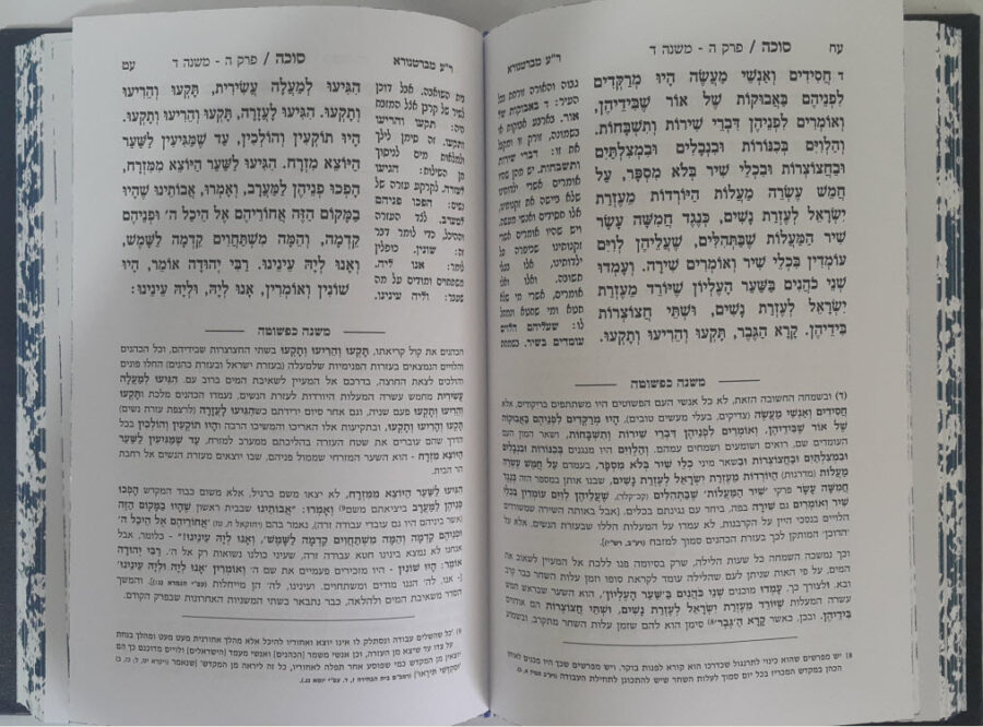 פנים 8321