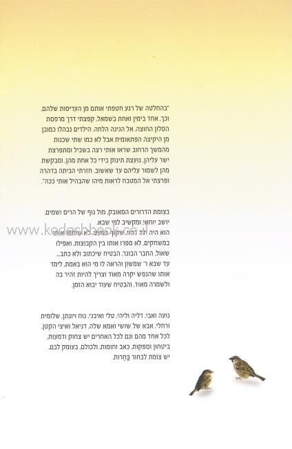 צומת הדרורים