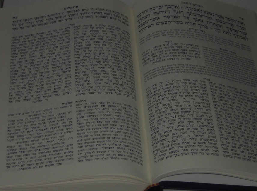תורה עם פירוש המלבים 4