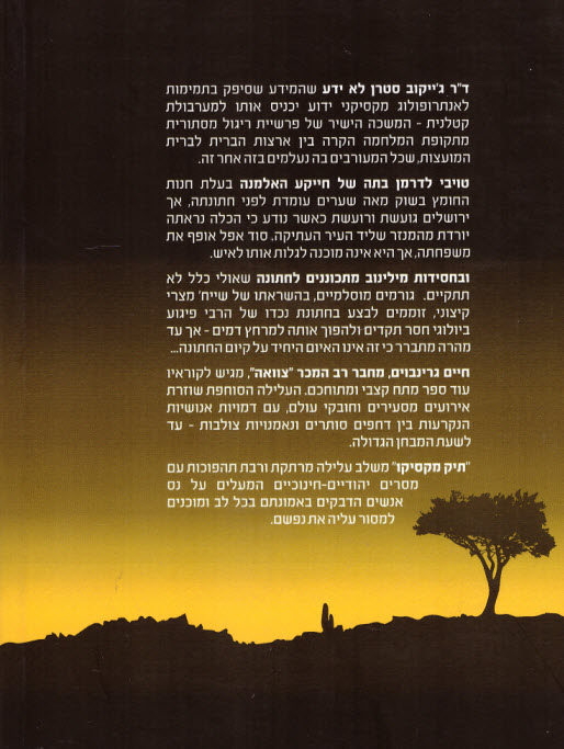 תיק מקסיקו