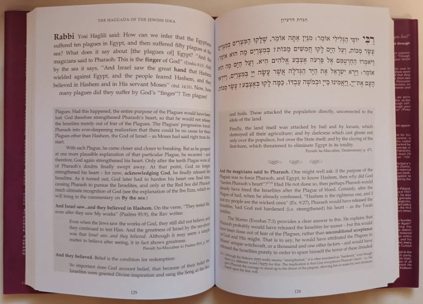 The Haggada Of The Jewish Idea